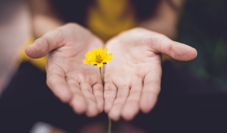 flower in hand